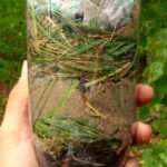 So sieht der fertige Wasserfilter aus einer PET-Flasche aus. Die verschiedenen Schichten sind von fein nach grob gut sichtbar.