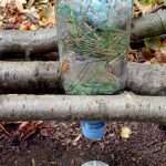 Der fertige PET Wasserfilter, eingehängt zwischen einer Astgabelung. Gut zusehen sind die unterschiedlichen Schichten von Filtermedien wie Kohle, Gras, Stoff, Kies usw. Das Schmutzwasser wird oben in den Filter gegossen und tritt unterseits am Deckel wieder aus und tropft gereinigt in den untergestellten Edelstahlbecher.